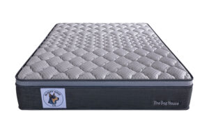 The Dog House - Medium/firm