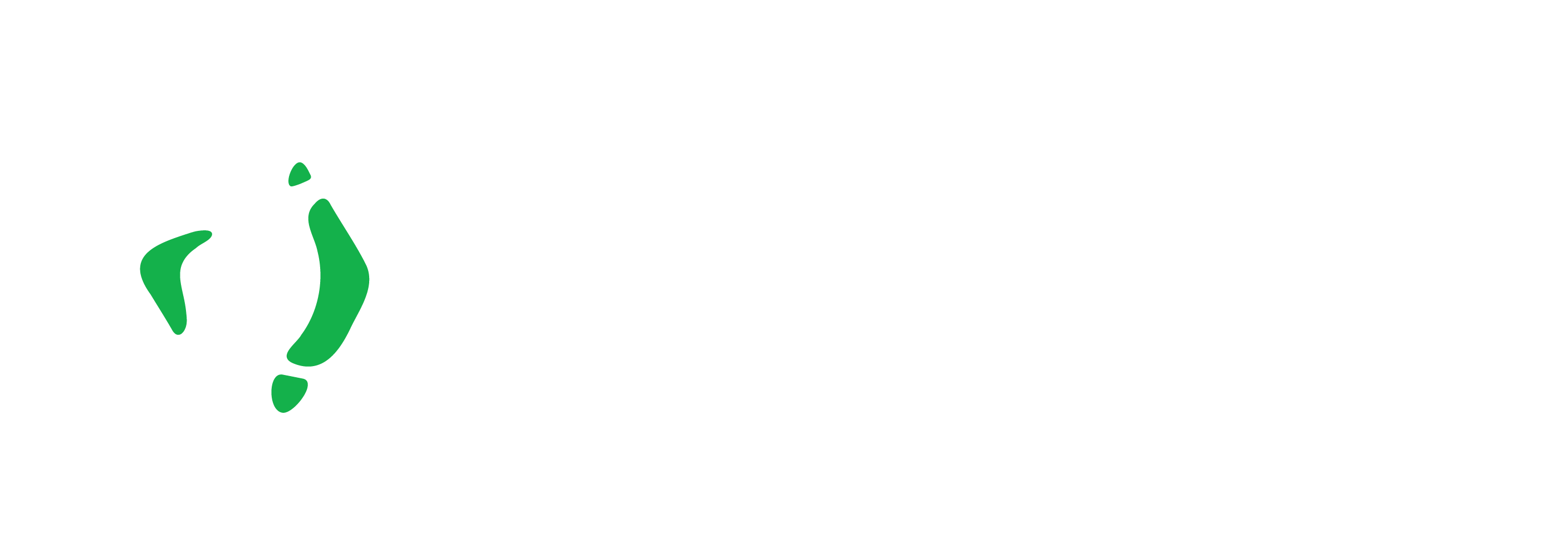slide-logo-white